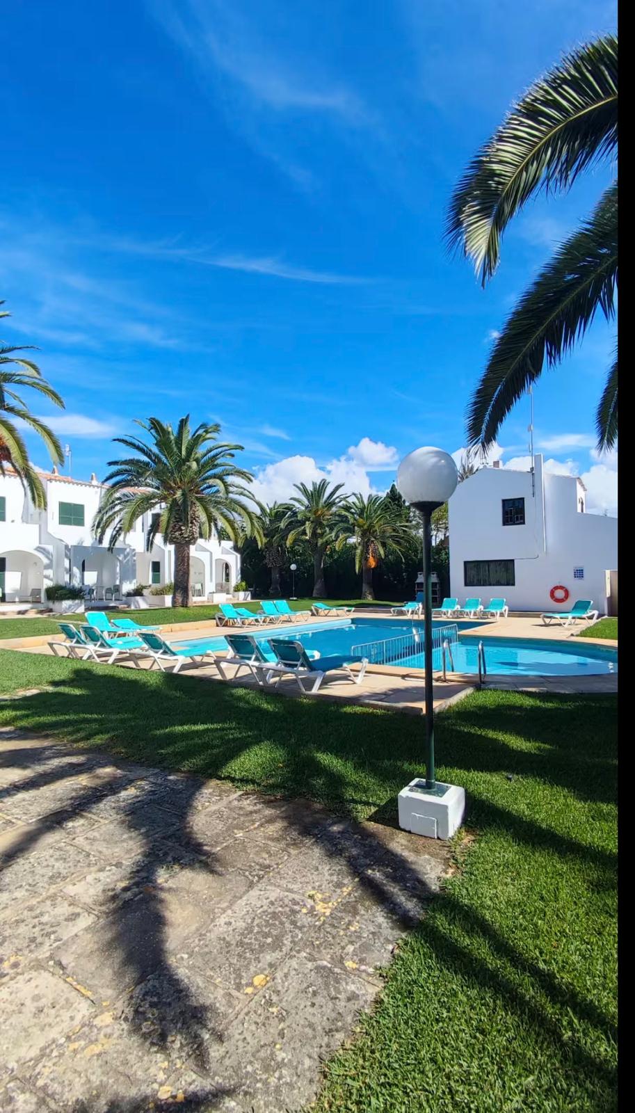 A sunny pool area surrounded by palm trees, featuring lounge chairs and a clear blue pool, with white buildings in the background under a blue sky.