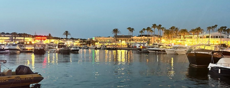 A serene marina at dusk, featuring numerous boats moored in calm waters, with palm trees and illuminated buildings along the shore reflecting in the water.
